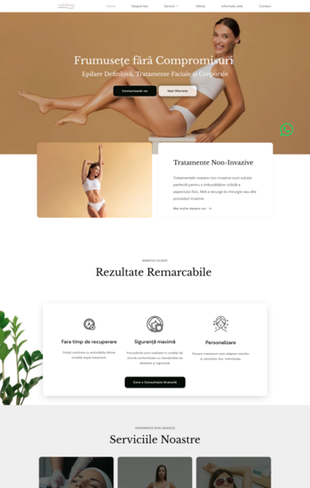 template website business